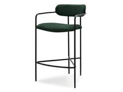 Vihreä veluurikoira, jolla on mustat jalat VIDAL